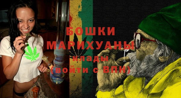ГАЛЛЮЦИНОГЕННЫЕ ГРИБЫ Вяземский