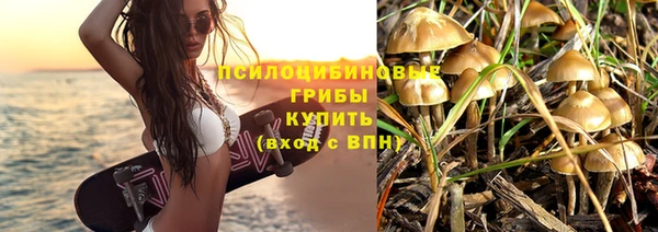 СК Волосово