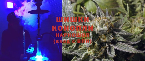 стафф Вязьма